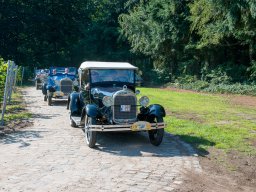2019 - Parel der Voorkempen - Guy 